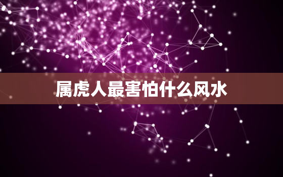 属虎人最害怕什么风水，适合属虎人长期佩戴的吉祥物