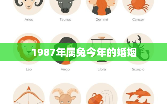 1987年属兔今年的婚姻，87年属兔今年婚姻怎样