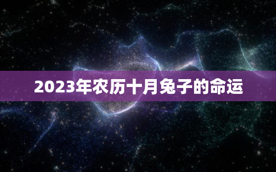 2023年农历十月兔子的命运，2023年十月初十