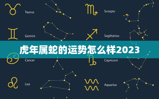 虎年属蛇的运势怎么样2023，属蛇在虎年运势2023年运势