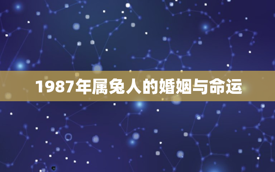 1987年属兔人的婚姻与命运，1987年属兔一生婚姻