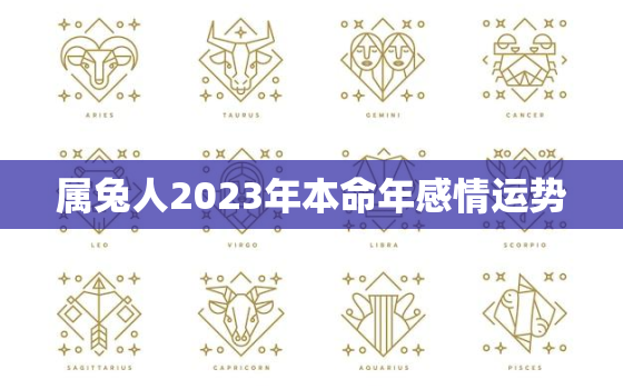 属兔人2023年本命年感情运势，2023年属兔的本命年