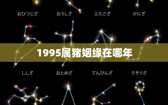 1995属猪姻缘在哪年，1995属猪姻缘在哪年结束