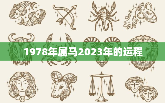 1978年属马2023年的运程，1978年属马人2023年运势及运程