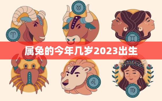 属兔的今年几岁2023出生，属兔今年几岁2021年