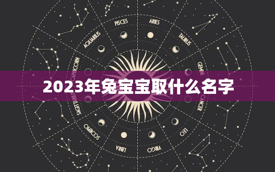 2023年兔宝宝取什么名字，2023兔宝宝取什么名字最好