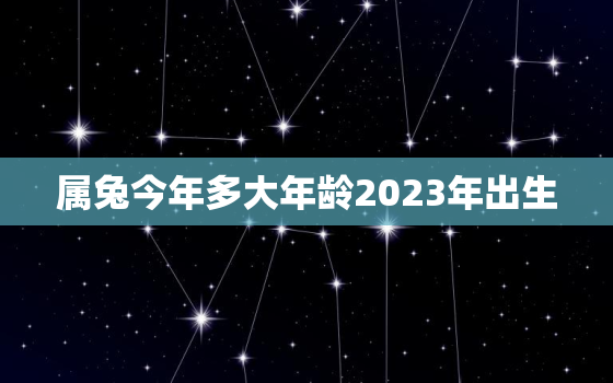 属兔今年多大年龄2023年出生，属兔今年几岁了2020