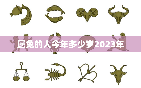 属兔的人今年多少岁2023年，属兔的今年可能多少岁