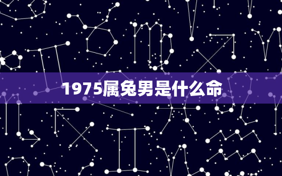 1975属兔男是什么命，1975属兔的男人命运