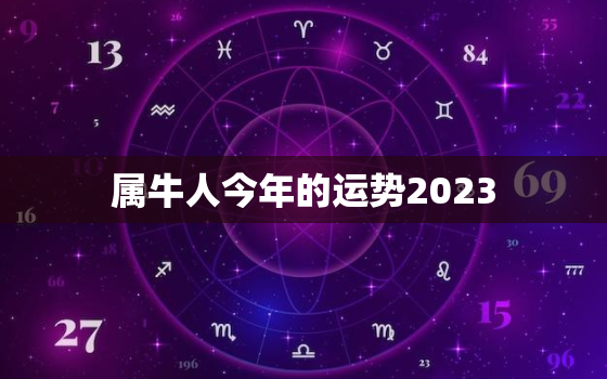 属牛人今年的运势2023，属牛人今年的运势2023年