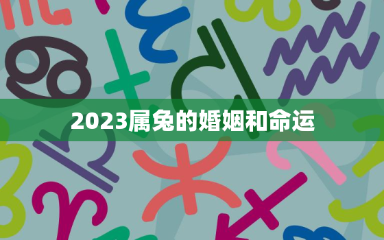 2023属兔的婚姻和命运，2023属兔的婚姻和命运怎么样