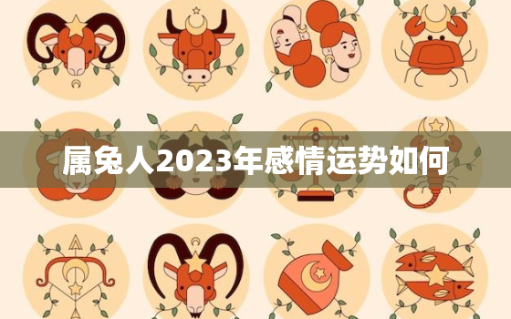 属兔人2023年感情运势如何，属兔人2023年运势怎么样