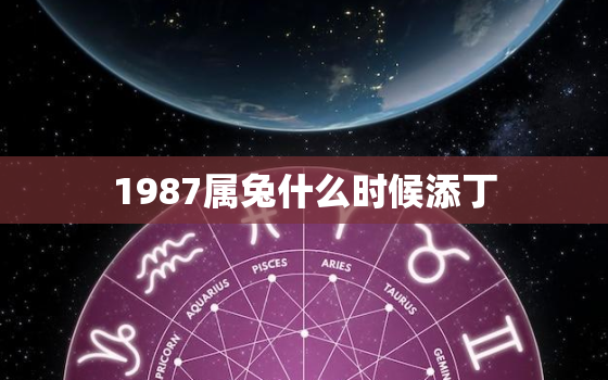 1987属兔什么时候添丁，1987女兔什么时候添子