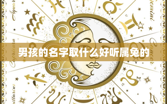 男孩的名字取什么好听属兔的，男孩的名字取什么好听属兔的姓氏