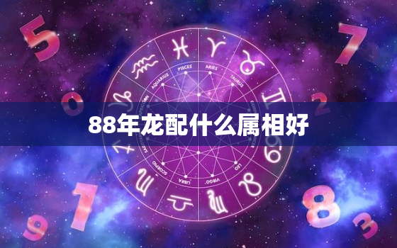 88年龙配什么属相好，88年属龙的跟什么合得来