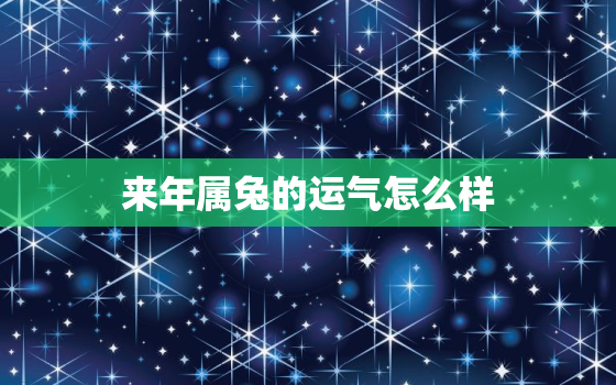 来年属兔的运气怎么样，来年属兔的运气怎么样啊