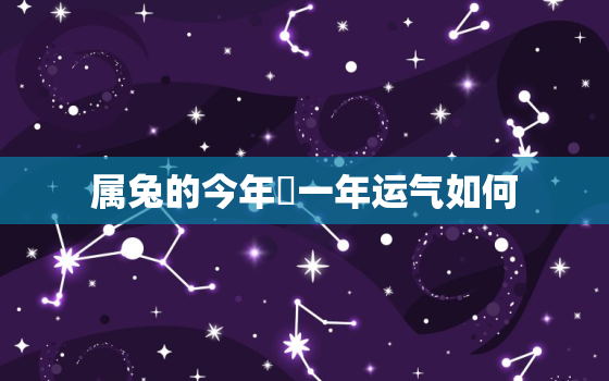 属兔的今年夲一年运气如何，属兔的今年运气怎么样2021