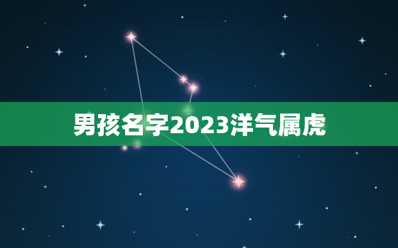 男孩名字2023洋气属虎，男孩名字2023洋气属虎