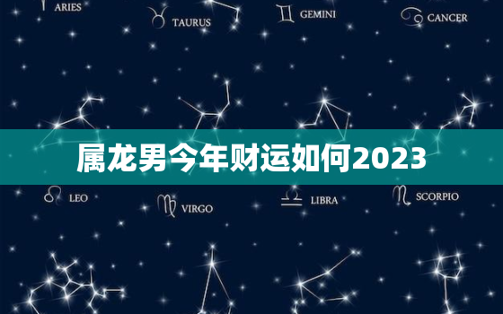 属龙男今年财运如何2023，属龙男今年财运如何2023年