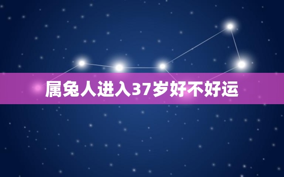 属兔人进入37岁好不好运，属兔37岁怎么样