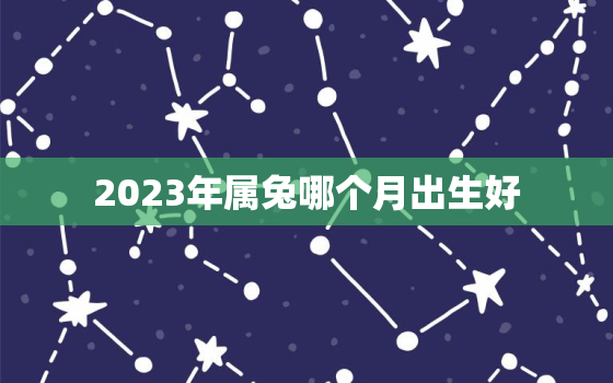 2023年属兔哪个月出生好，2023年属兔的几月出生好