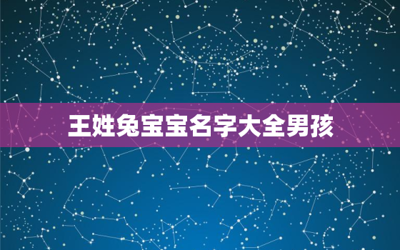 王姓兔宝宝名字大全男孩，王姓兔宝宝取名大全2021款