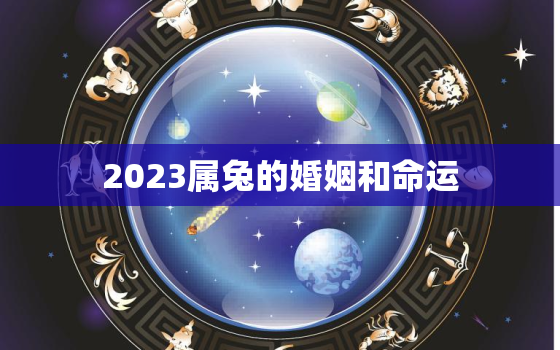 2023属兔的婚姻和命运，2023属兔的命运好不好