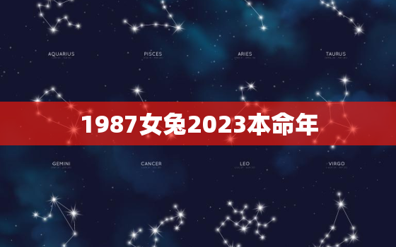 1987女兔2023本命年，1987年属兔女2023年运势每月运势