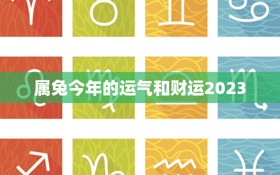 属兔今年的运气和财运2023，属兔今年的运气和财运2023年怎么样