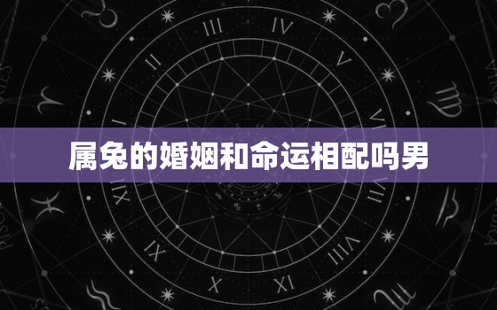 属兔的婚姻和命运相配吗男，属兔的婚姻和命运相配吗男人