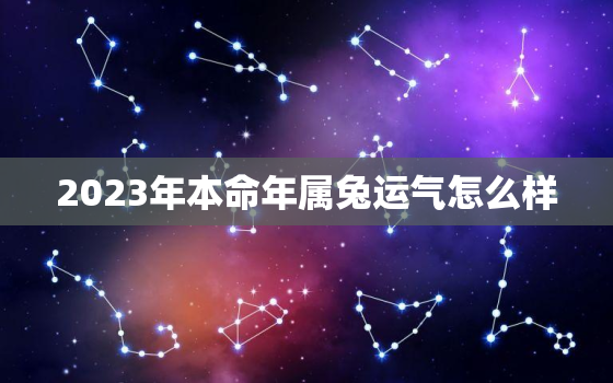 2023年本命年属兔运气怎么样，87年属兔36岁必有一死