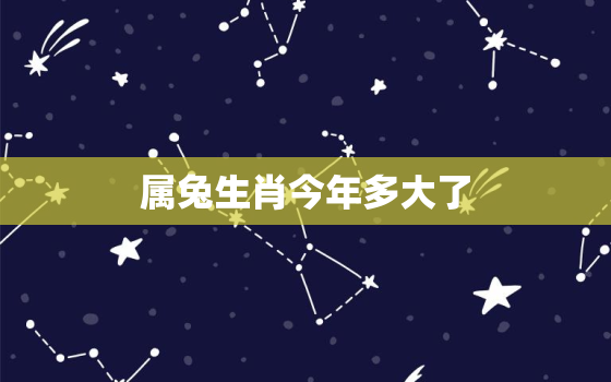 属兔生肖今年多大了，属兔的,今年多大?