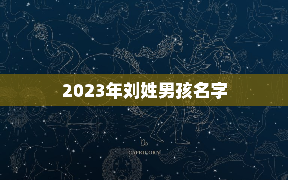 2023年刘姓男孩名字，2021年男孩最佳取名姓刘