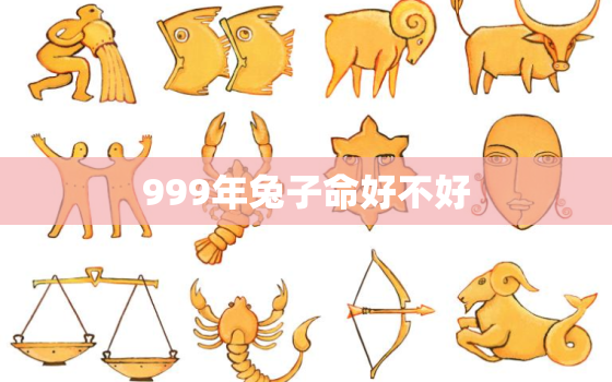 999年兔子命好不好，999年属兔一生运势如何