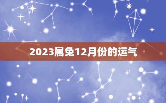 2023属兔12月份的运气，2023年属兔人的每月运势