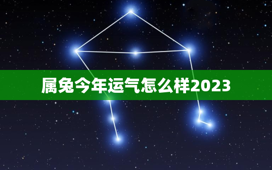 属兔今年运气怎么样2023，属兔今年运气怎么样2020