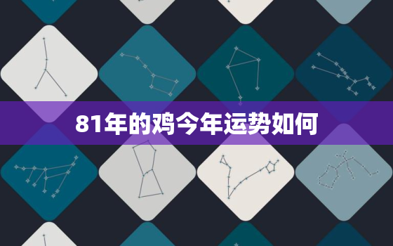 81年的鸡今年运势如何，81年的鸡今年运气好不好