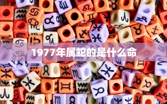 1977年属蛇的是什么命，1977年属蛇的是什么命2023年运势