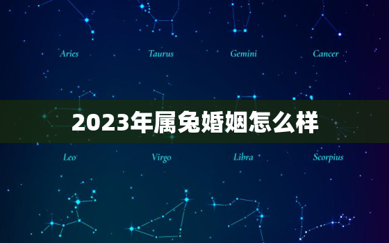 2023年属兔婚姻怎么样，2023年属兔婚姻怎么样呢