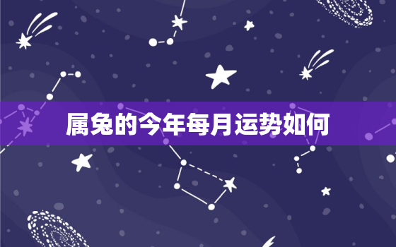 属兔的今年每月运势如何，属兔人今年每月运气如何