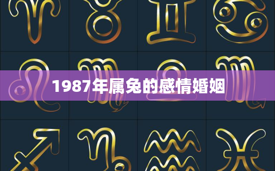 1987年属兔的感情婚姻，1987年属兔的感情如何