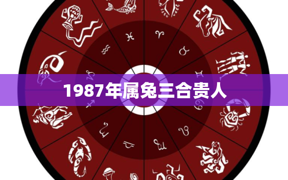 1987年属兔三合贵人，1987年属兔三合贵人属相