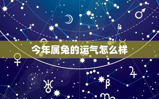 今年属兔的运气怎么样，今年属兔的运气如何?