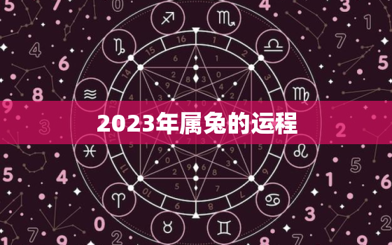 2023年属兔的运程，麦玲玲2023年属兔的运程