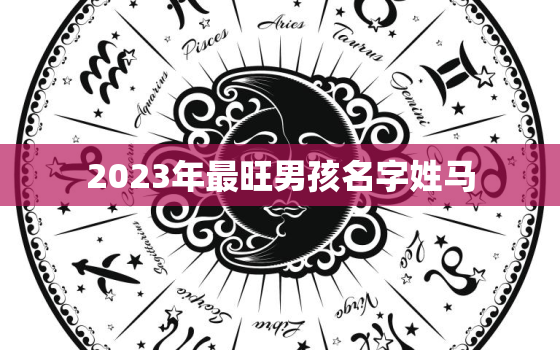 2023年最旺男孩名字姓马，2021年马姓男孩名字