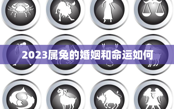 2023属兔的婚姻和命运如何，2023年属兔人适合结婚吗