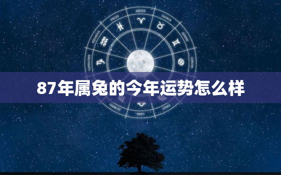 87年属兔的今年运势怎么样，87年属兔人今年的运势