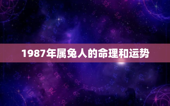 1987年属兔人的命理和运势，1987年属兔人的命理和运势是什么