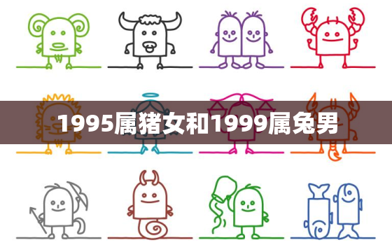 1995属猪女和1999属兔男，1995属猪女和1999属兔男的合不合