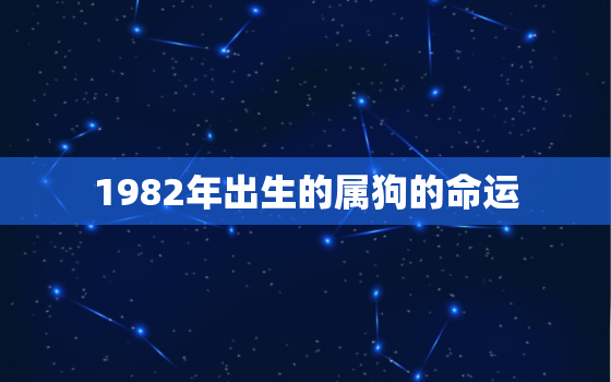 1982年出生的属狗的命运，1982年生肖狗的命运